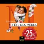 Grande Opération Fête des mères